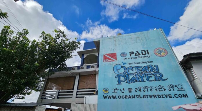 세부 오션플레이어 다이빙샵과 소소한 맛집 추천, 오션뷰는 덤